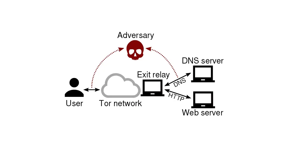 tor-dns