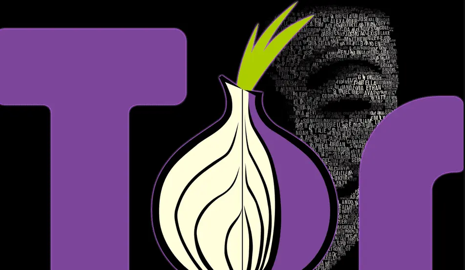 tor